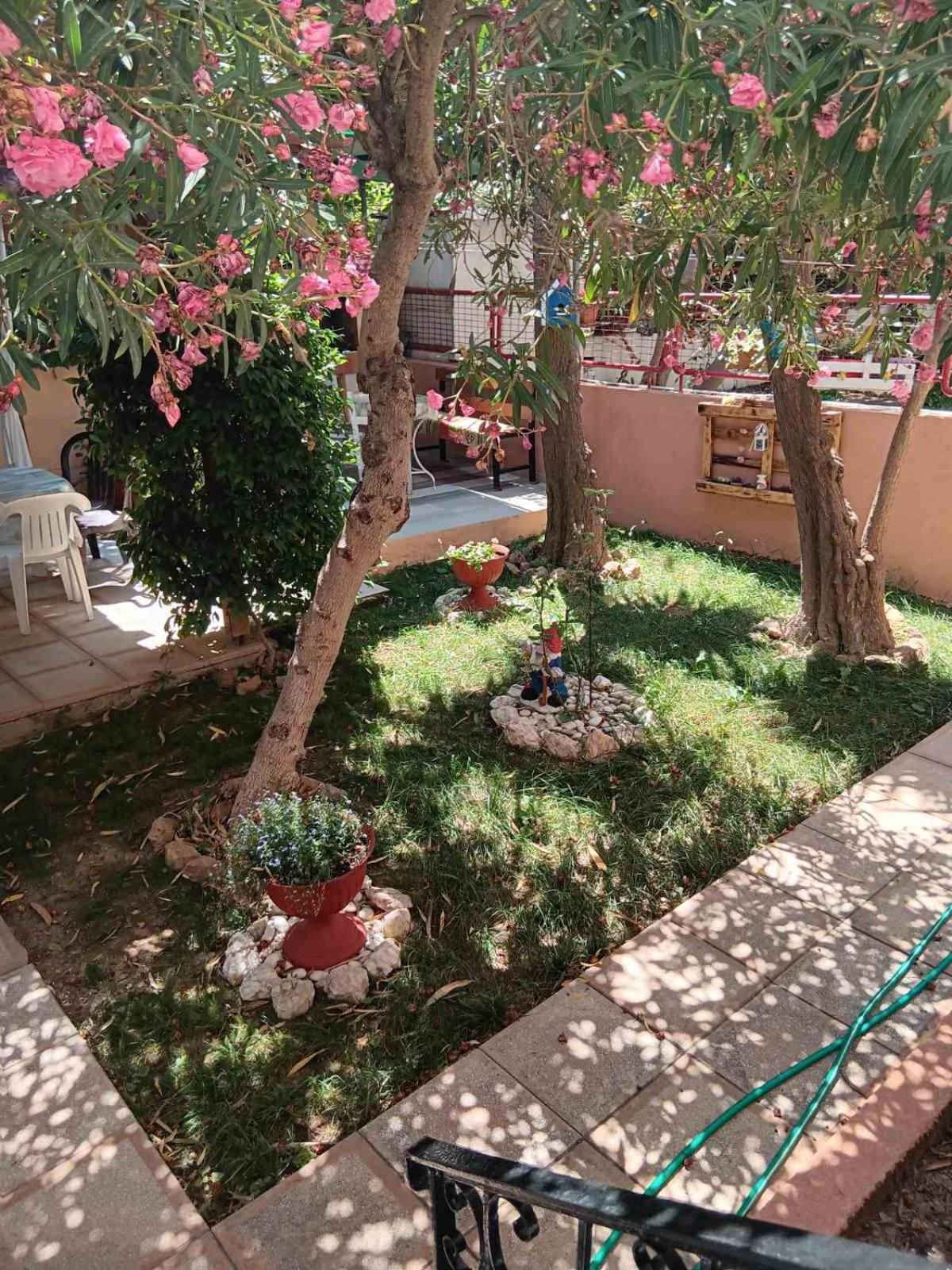 Apartment Nikos Limenaria  Exterior foto