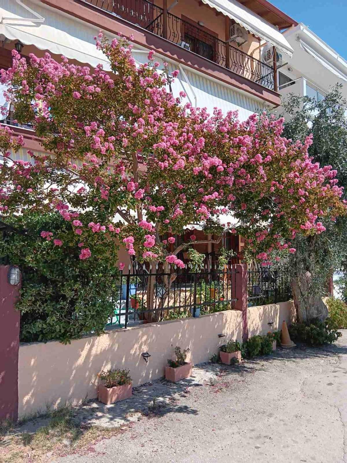 Apartment Nikos Limenaria  Exterior foto